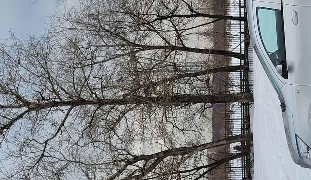 Павел Романенков